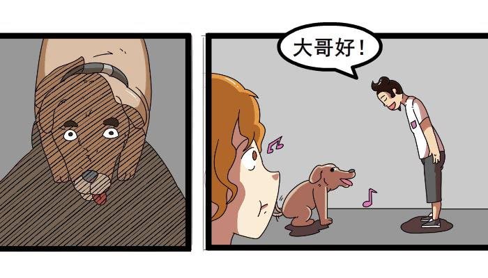 嫂子