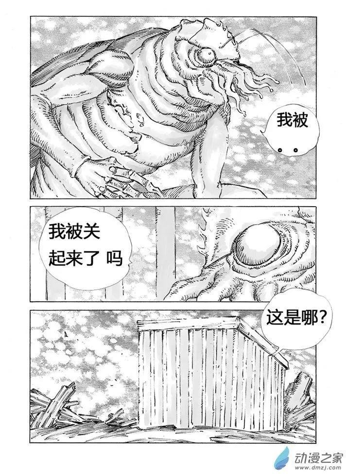第51回