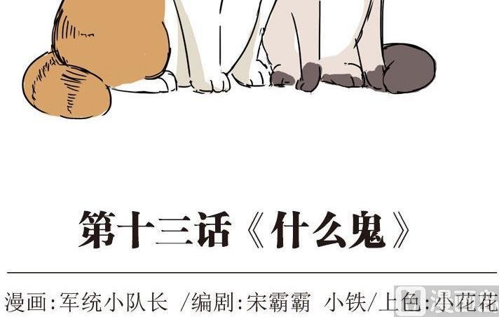第13话 什么鬼？