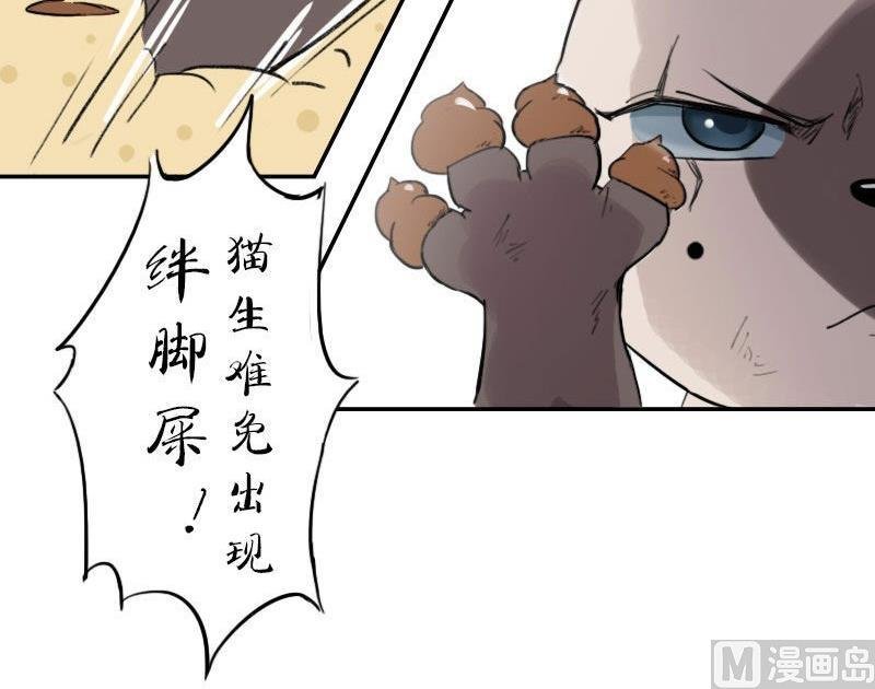 第13话 什么鬼？