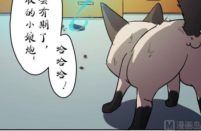 第13话 什么鬼？