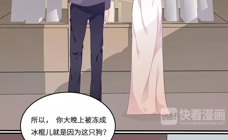 第18话 找到狗主人