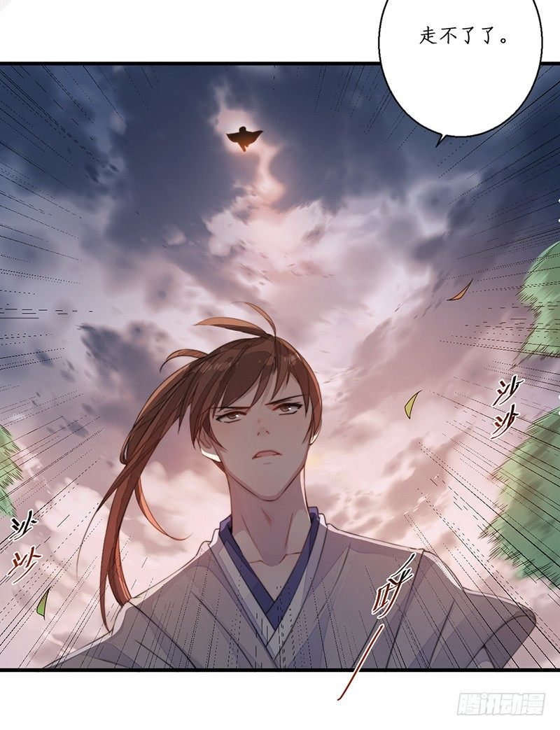 第十一话：情花之哀2