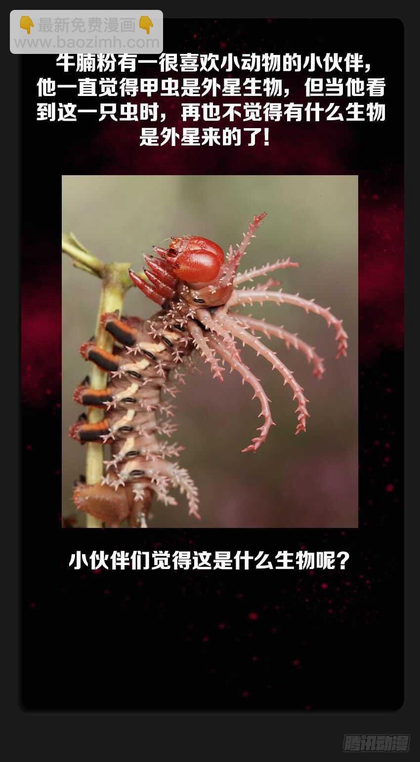 第219集 毫无干劲
