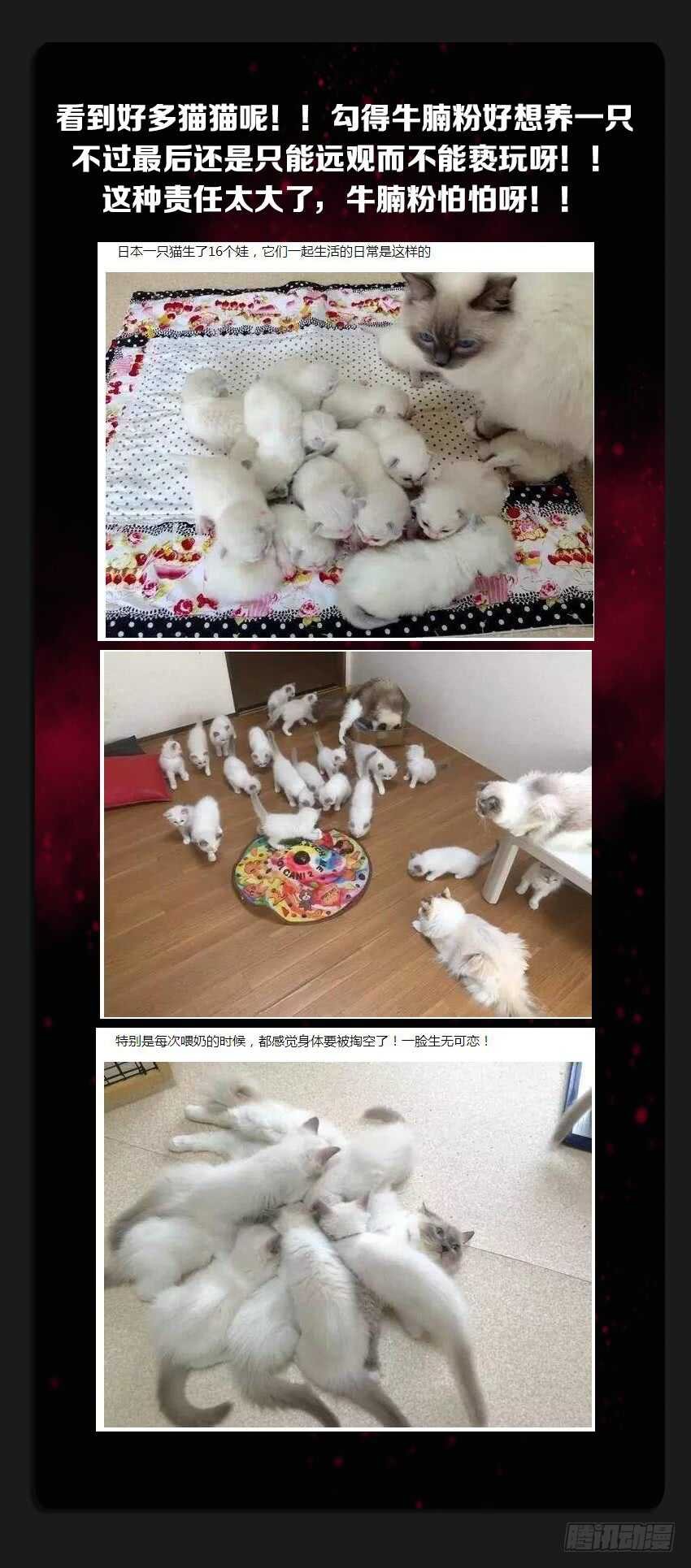 第228集 重拾军心