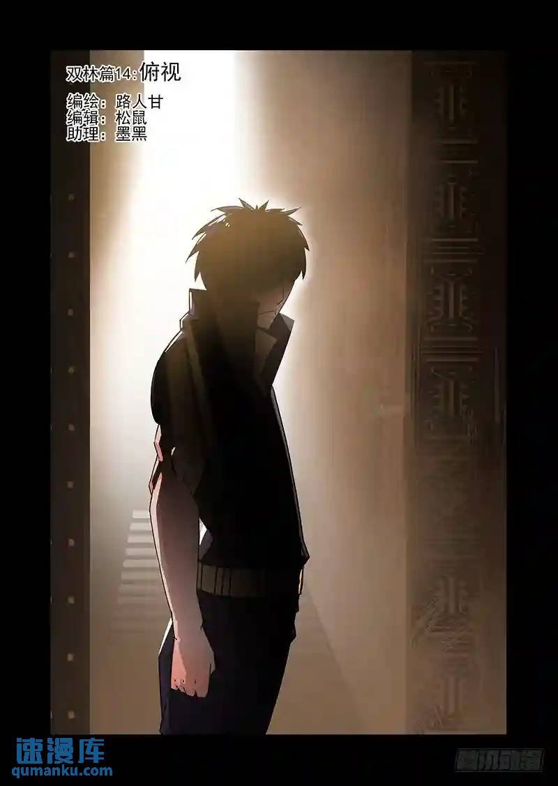 双林篇14：俯视