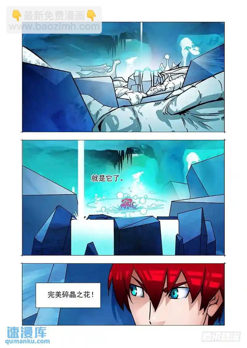 绝望深渊篇33：完美碎晶之花
