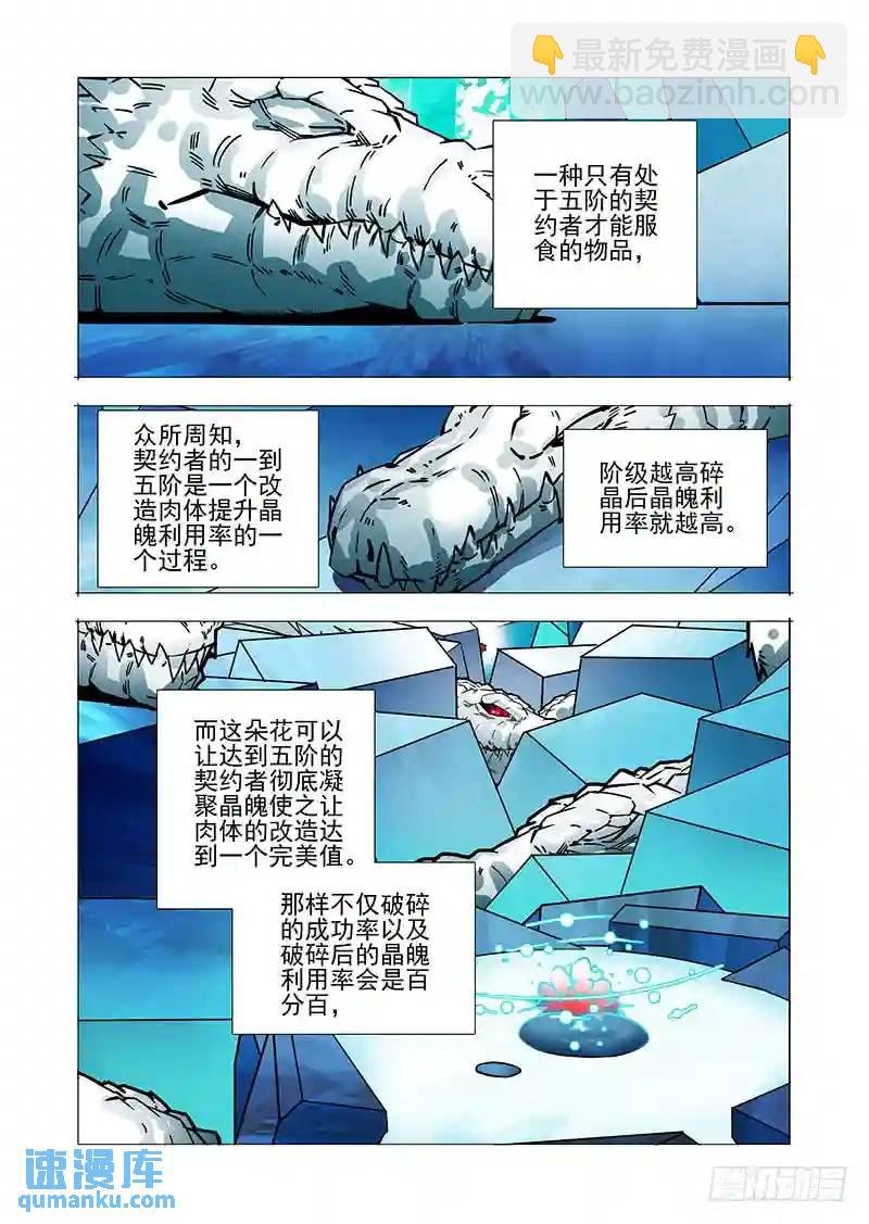 绝望深渊篇33：完美碎晶之花