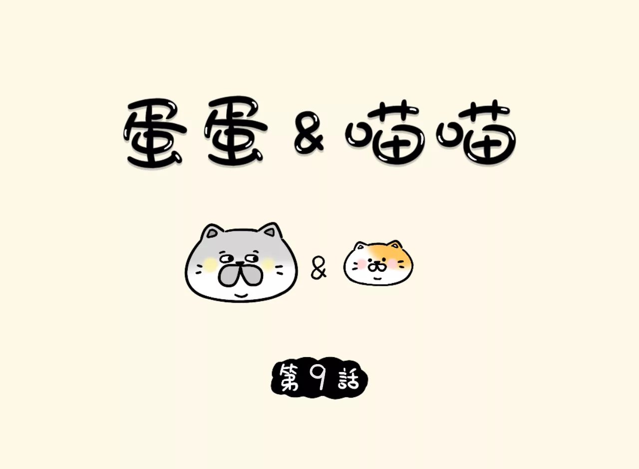 汉堡套装喵