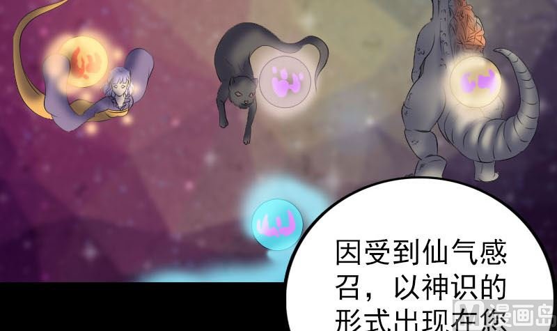 第302话 再回酆都