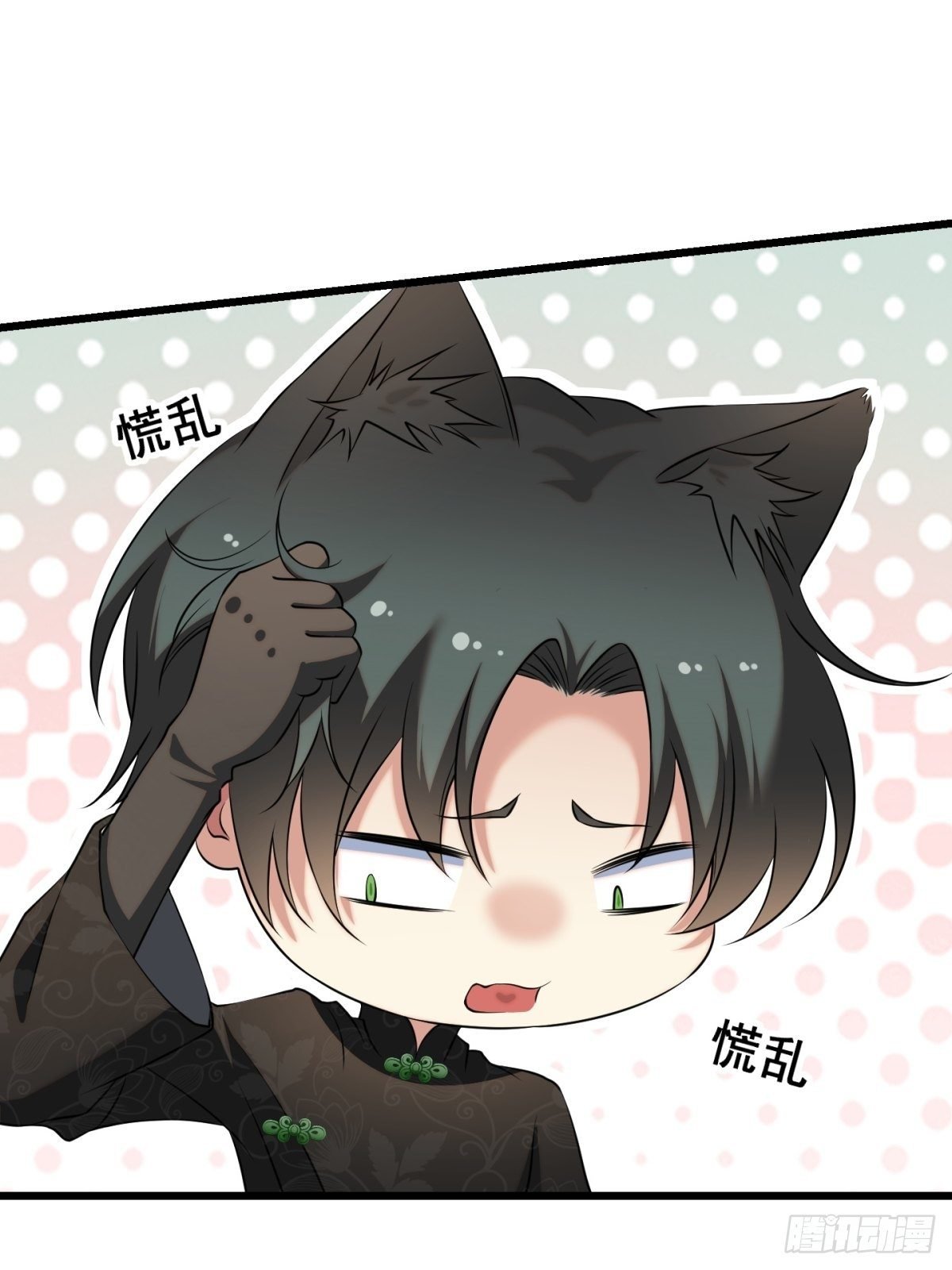 猫灵9