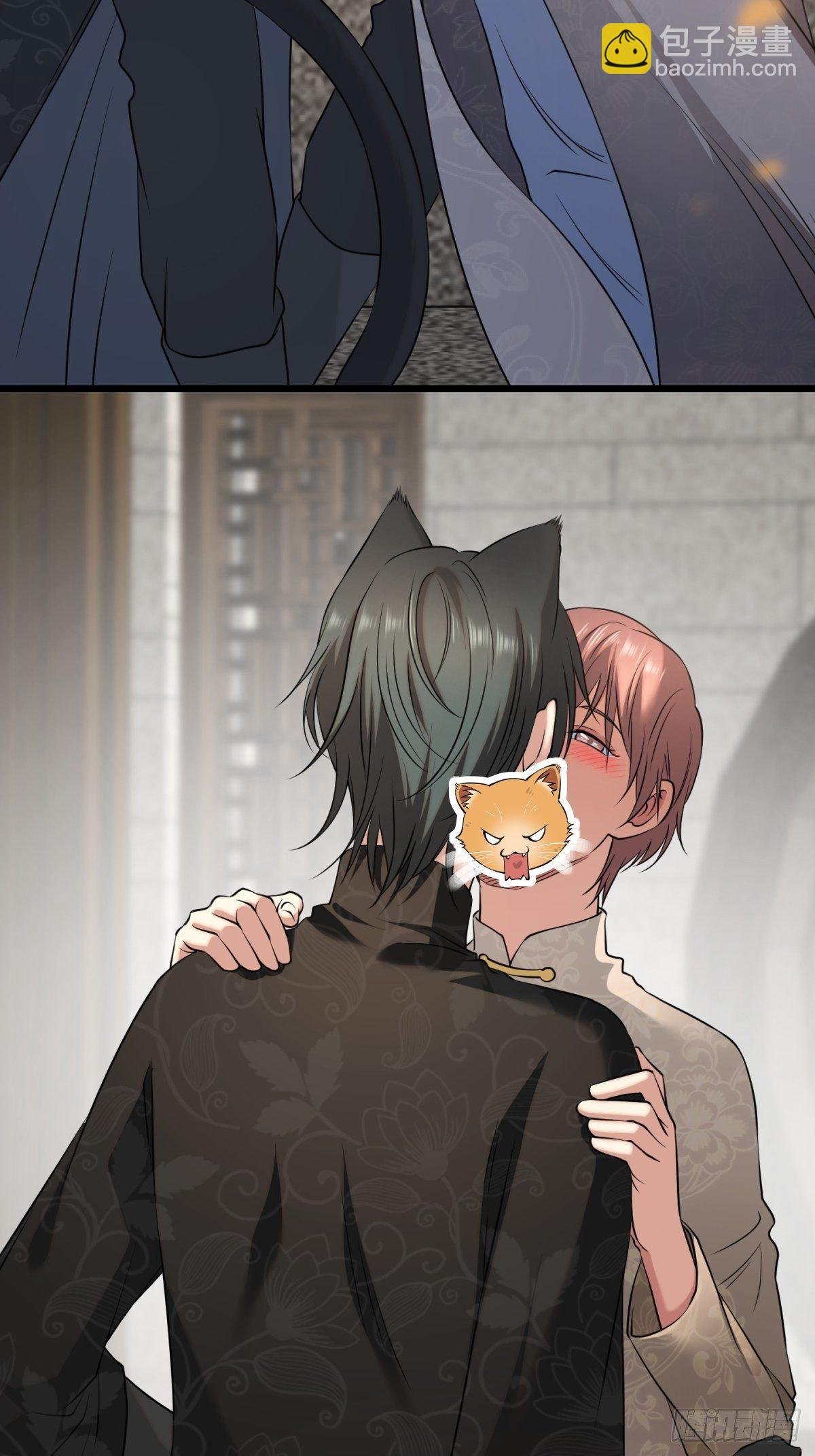 猫灵9