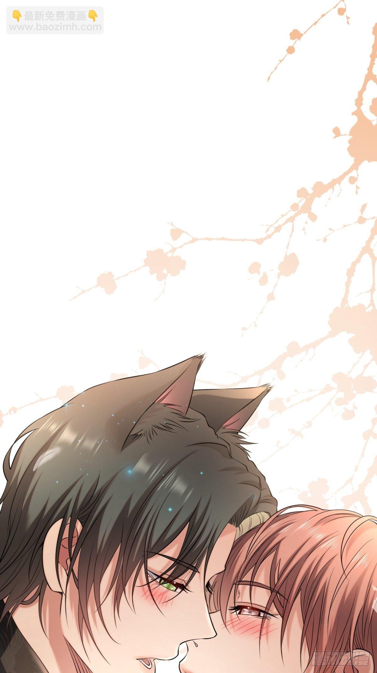 猫灵9