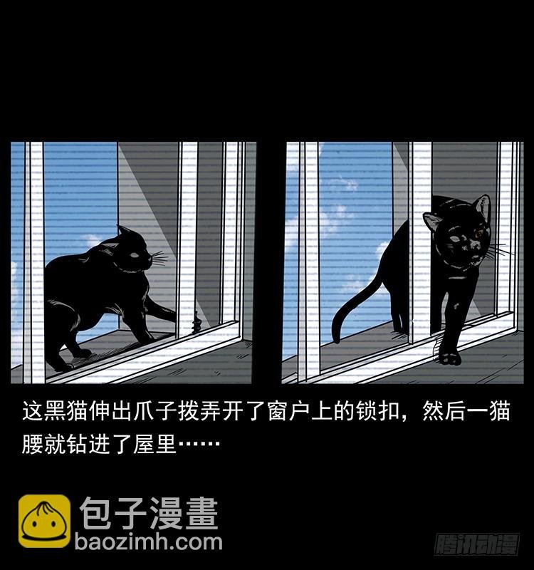 141黑猫杀人事件