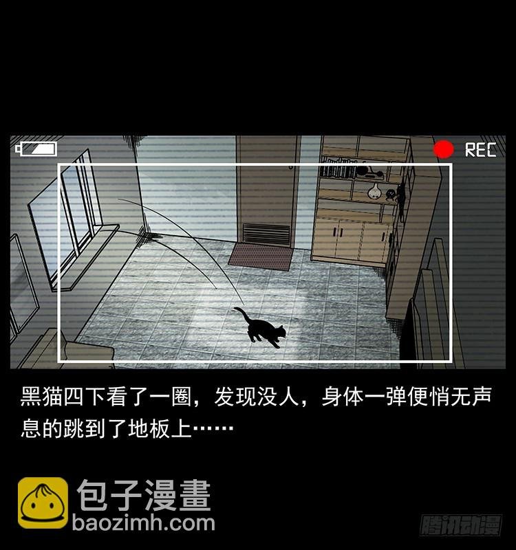 141黑猫杀人事件