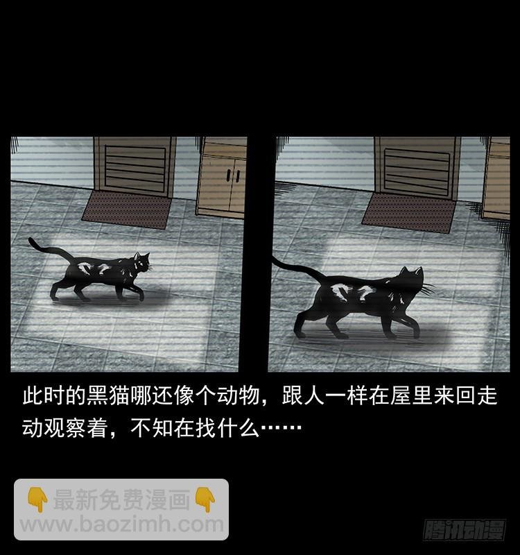 141黑猫杀人事件