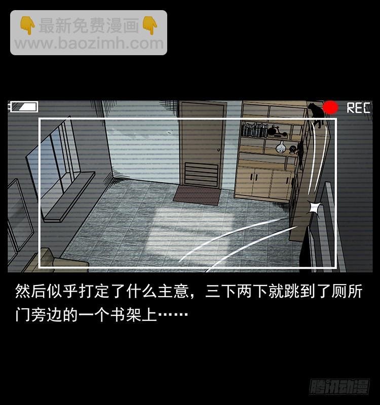 141黑猫杀人事件