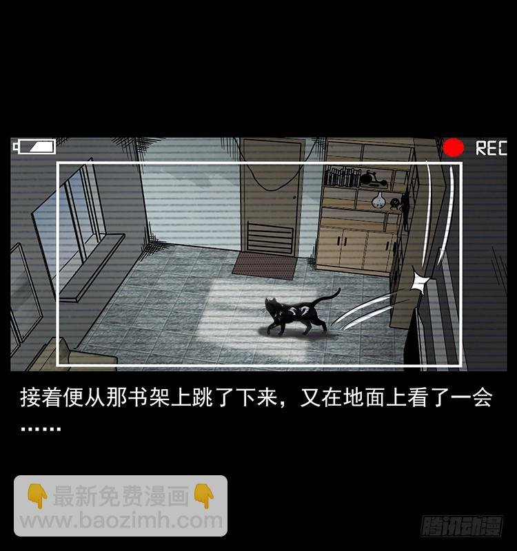 141黑猫杀人事件