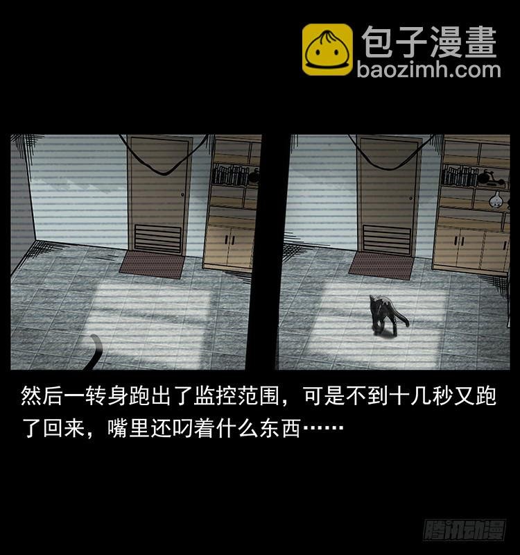 141黑猫杀人事件