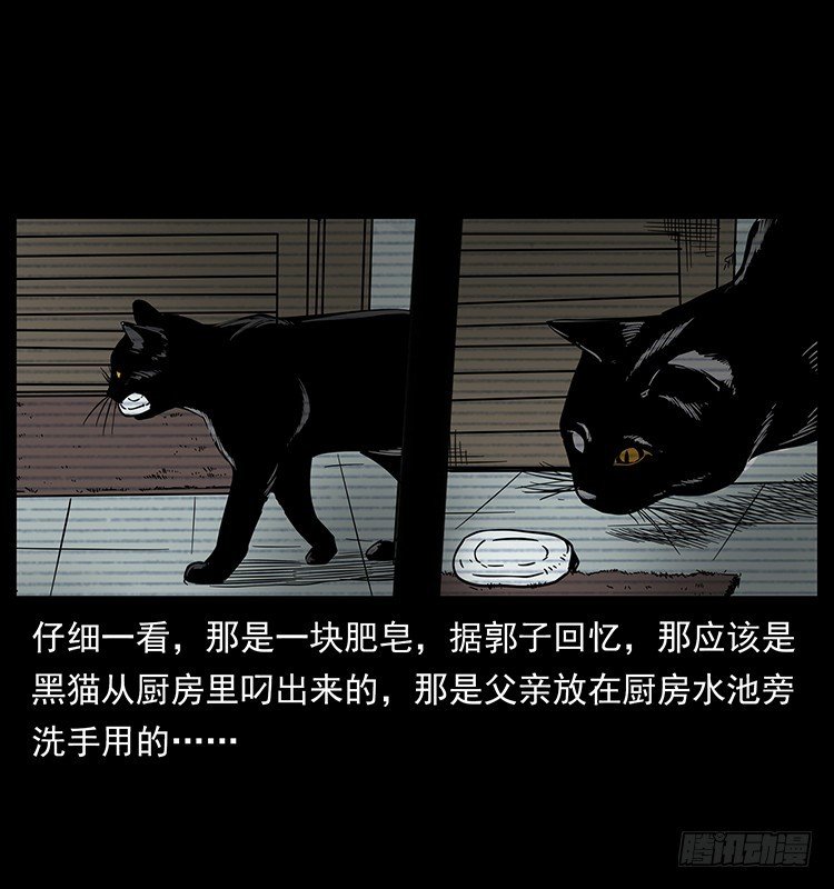 141黑猫杀人事件