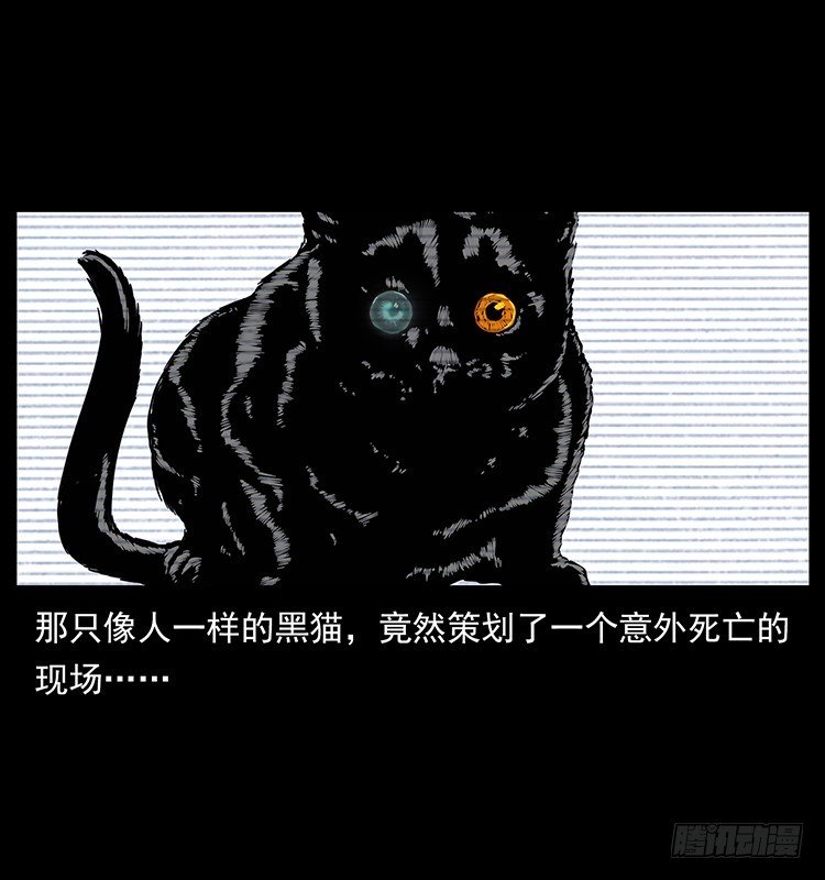 141黑猫杀人事件