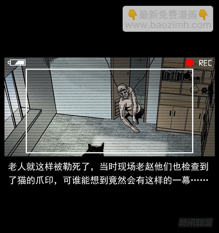 141黑猫杀人事件