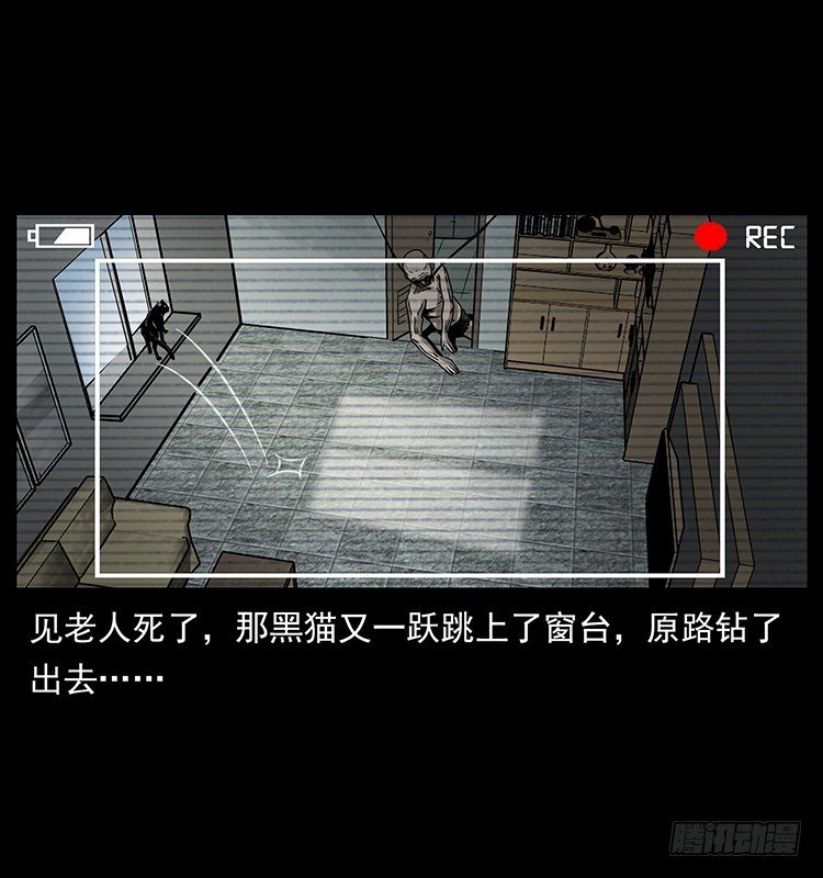 141黑猫杀人事件