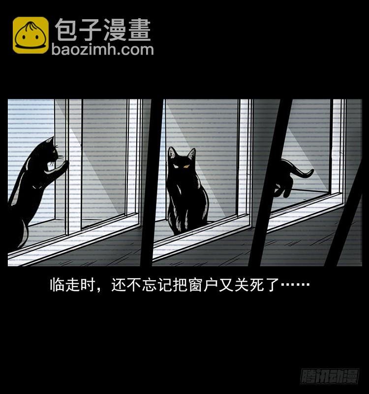 141黑猫杀人事件