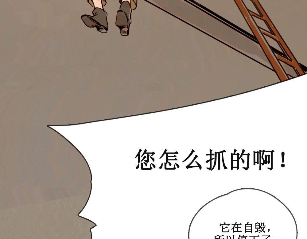 壁虎（下）
