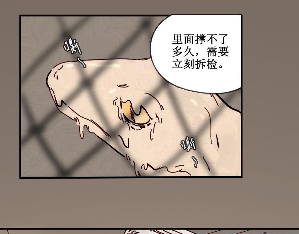 壁虎（下）
