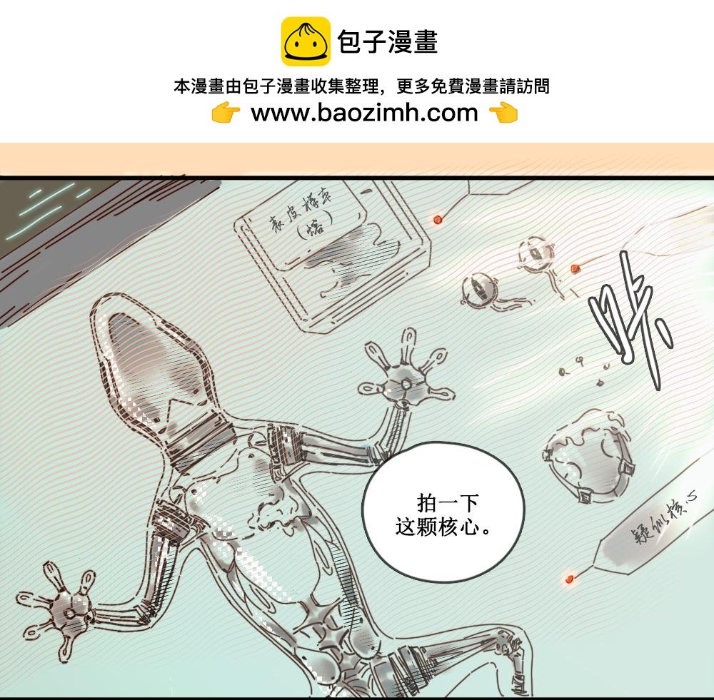 壁虎（下）