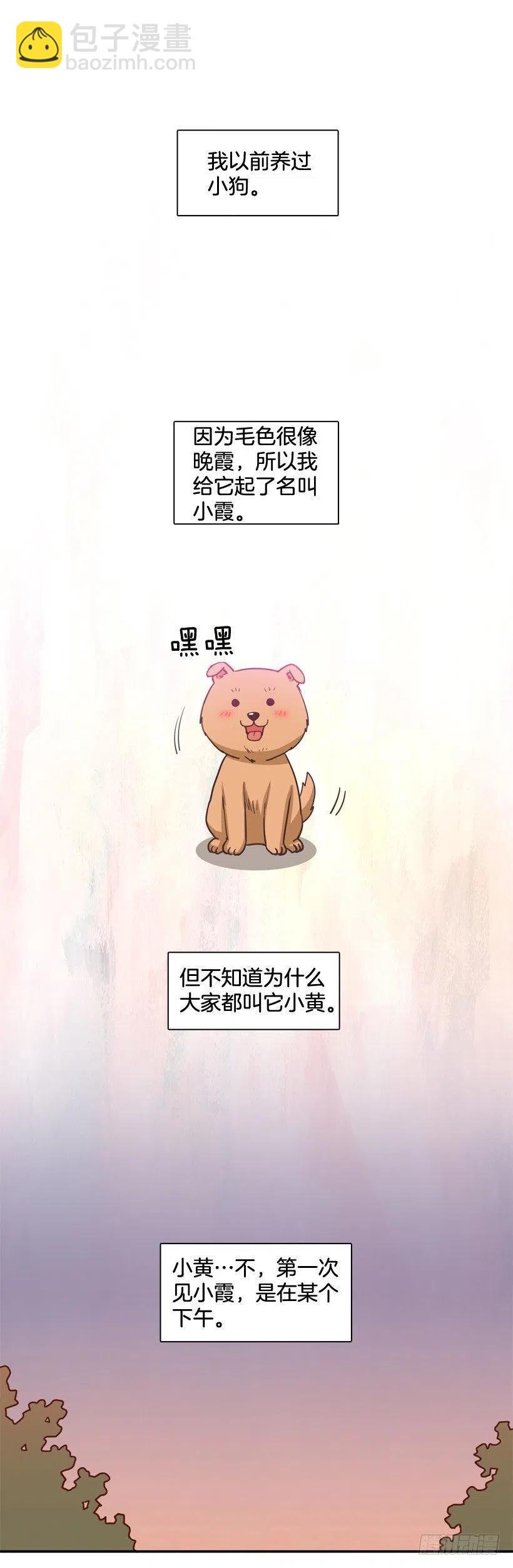 动物过敏