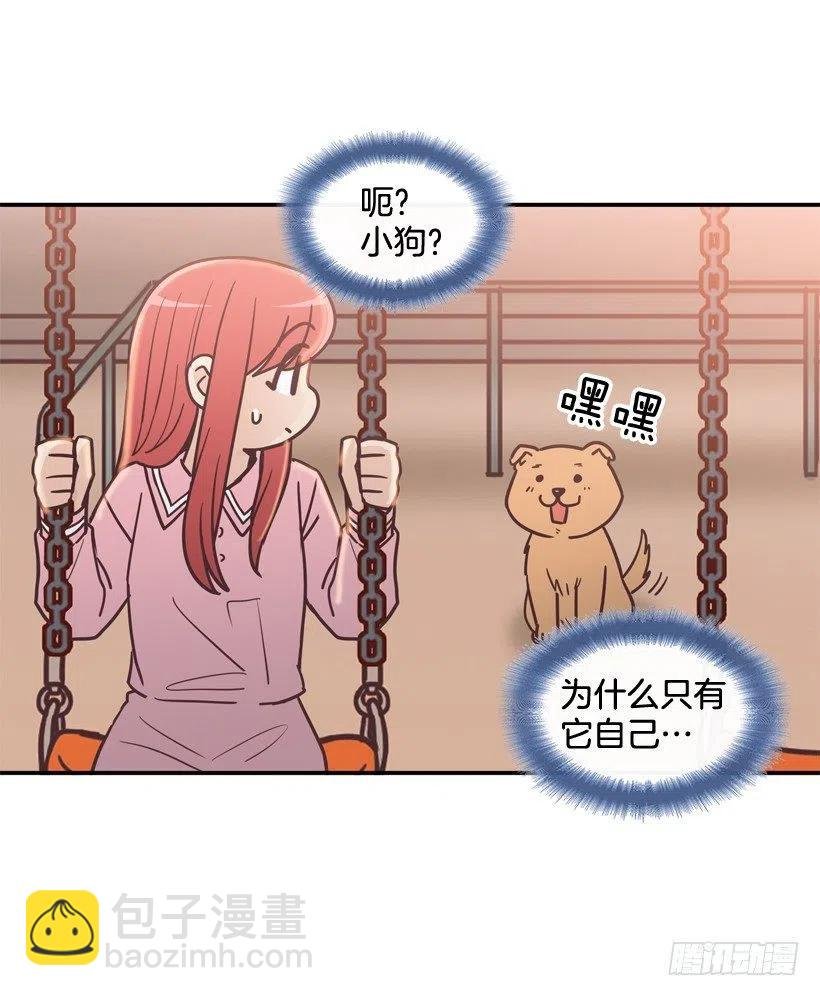 动物过敏