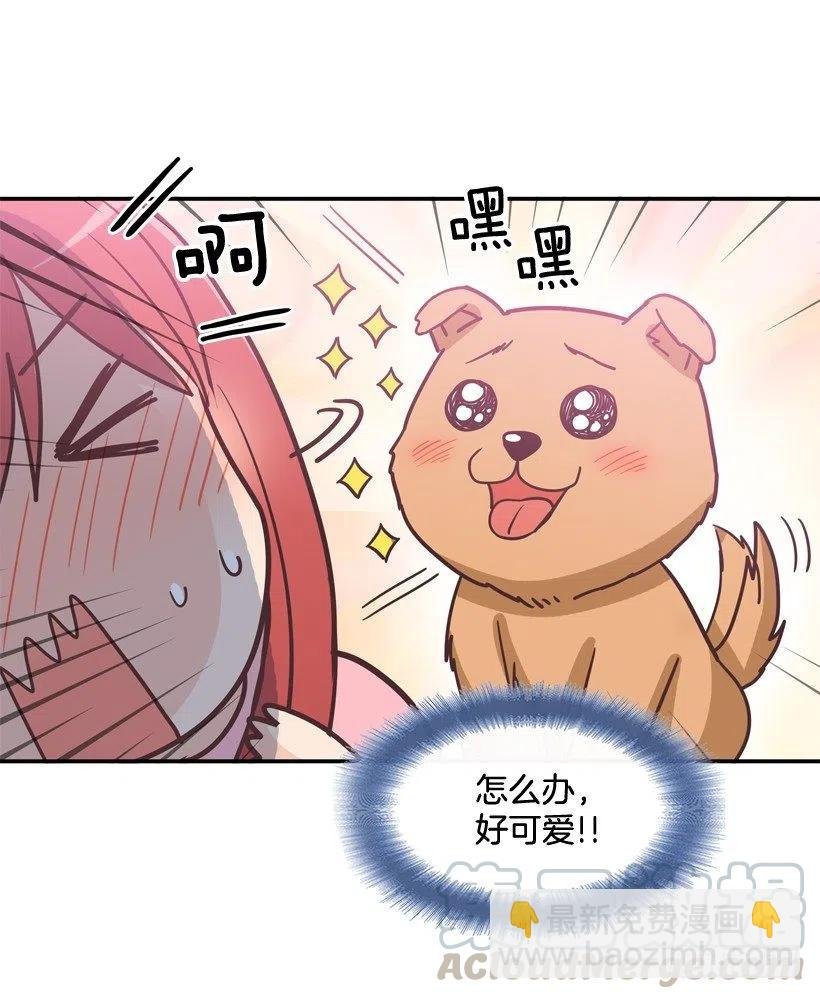 动物过敏