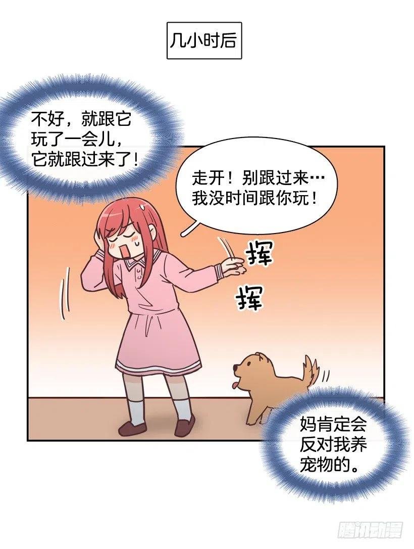 动物过敏