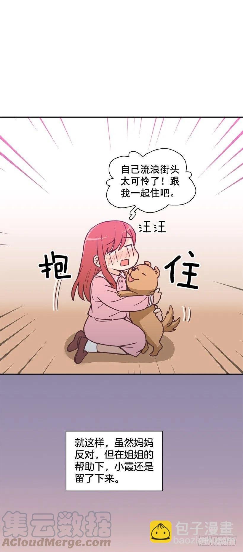 动物过敏