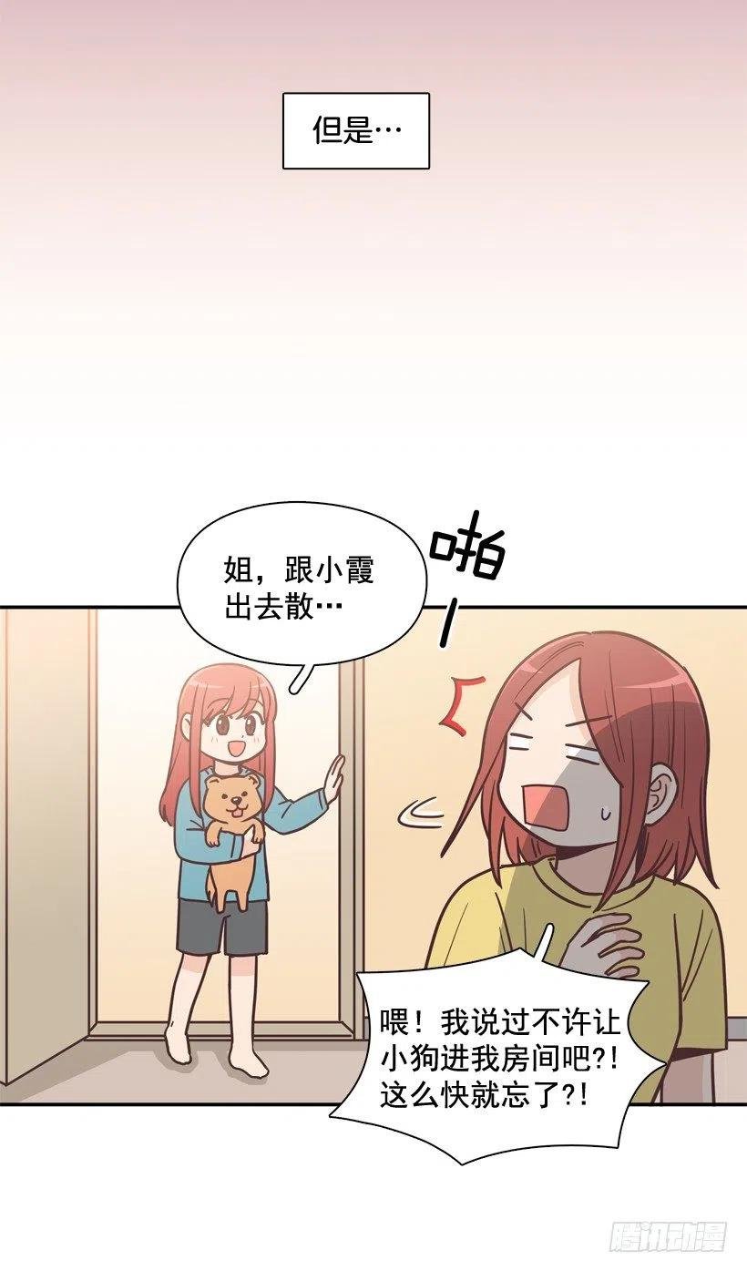 动物过敏