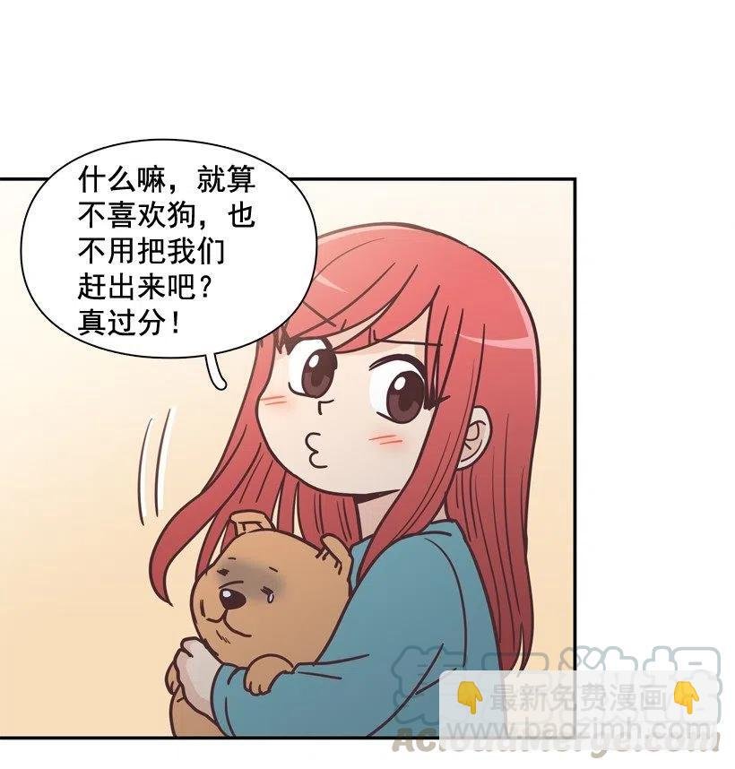 动物过敏