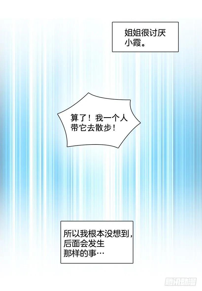 动物过敏