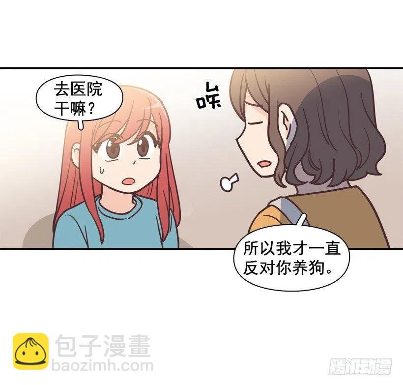 动物过敏
