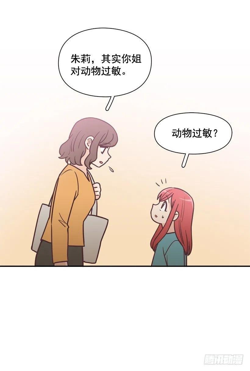 动物过敏