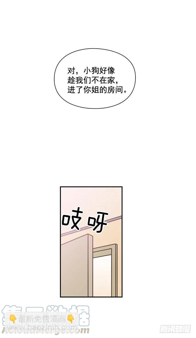 动物过敏