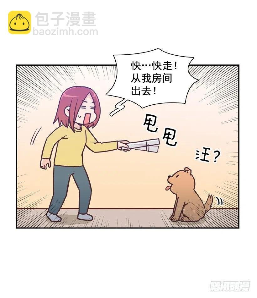 动物过敏