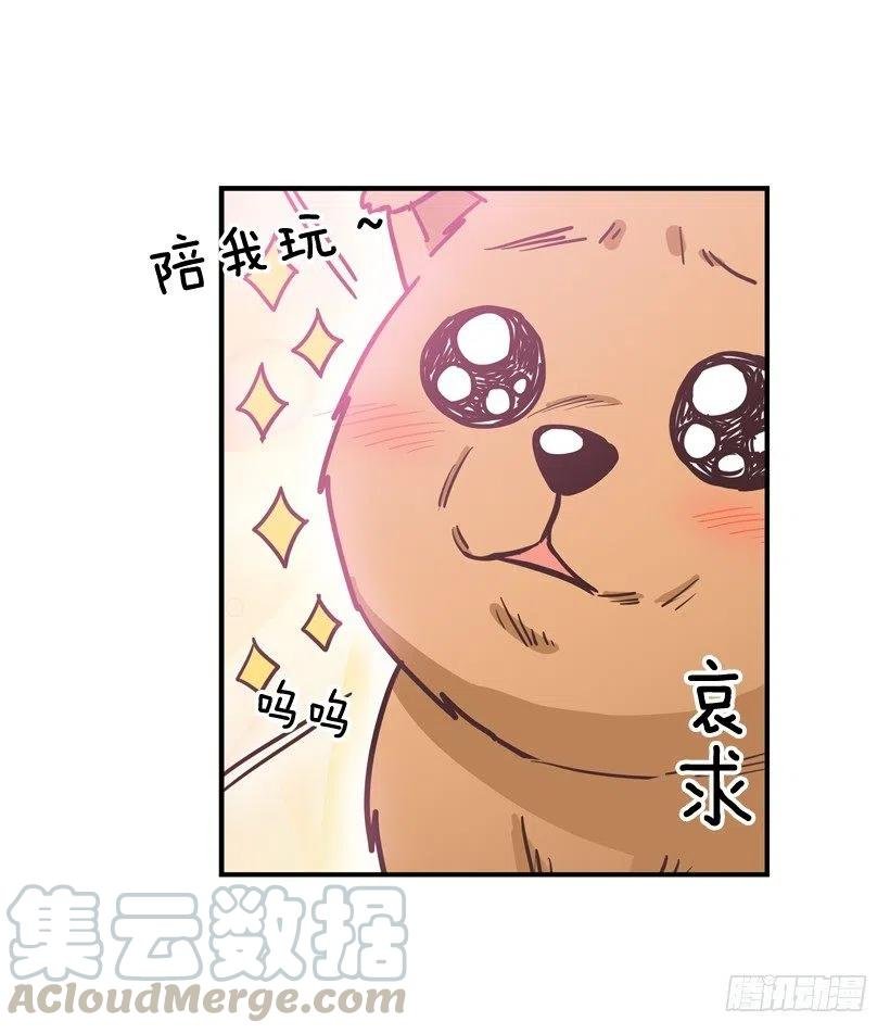 动物过敏