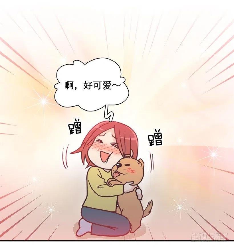 动物过敏