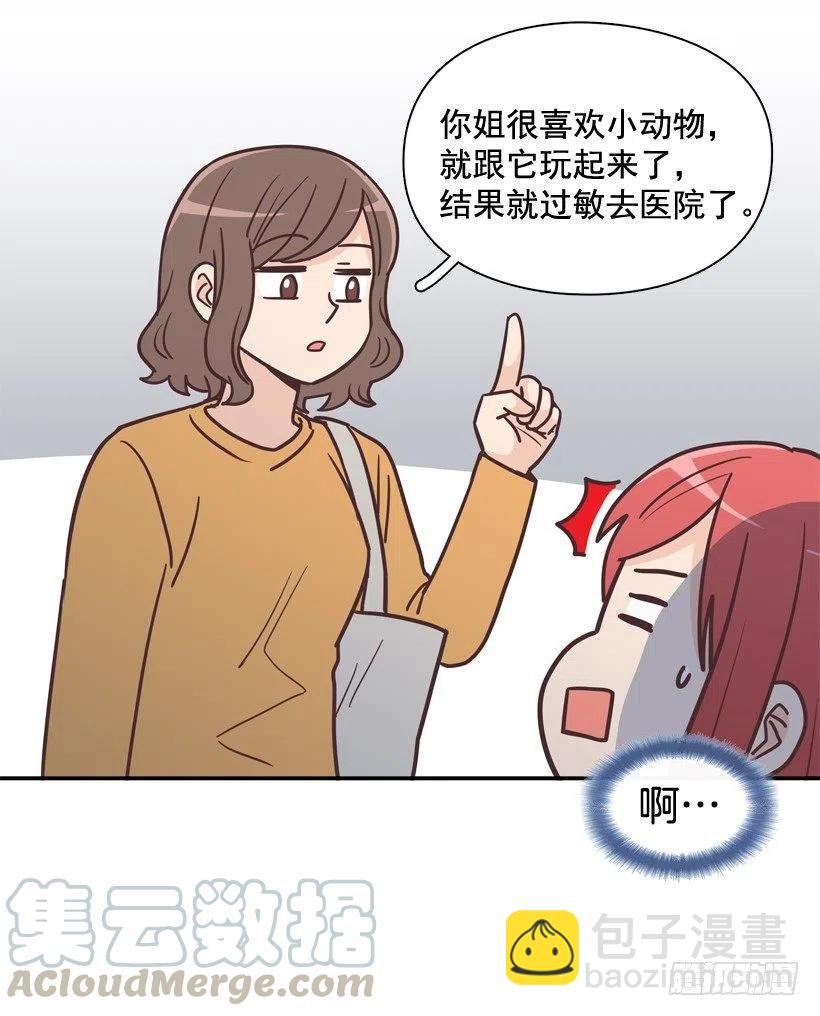 动物过敏