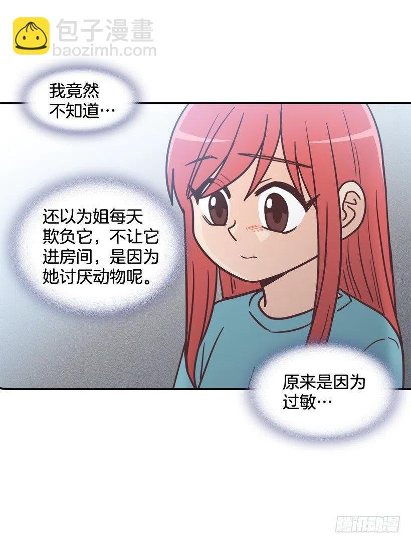 动物过敏