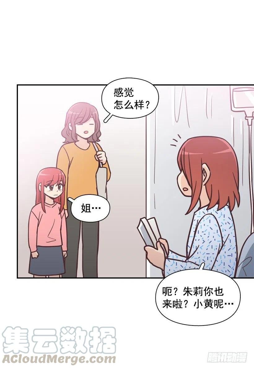 动物过敏