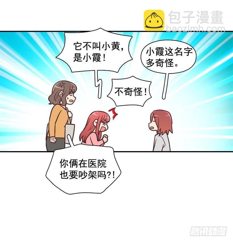 动物过敏
