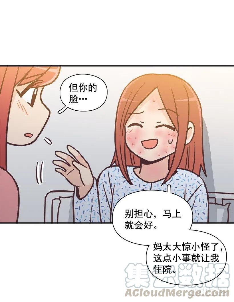 动物过敏